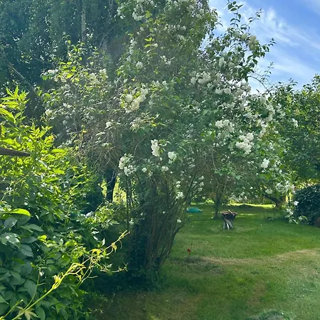 Bella's Eden