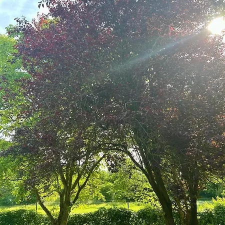 Bella's Eden *