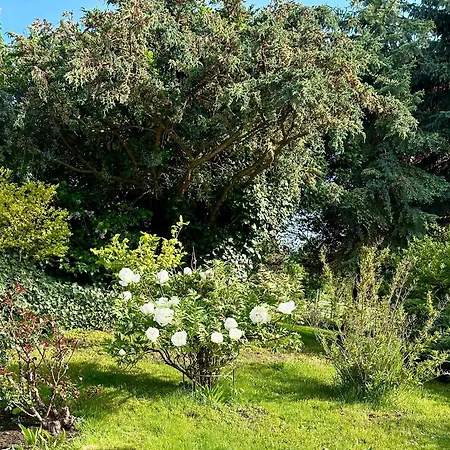 Bella's Eden *